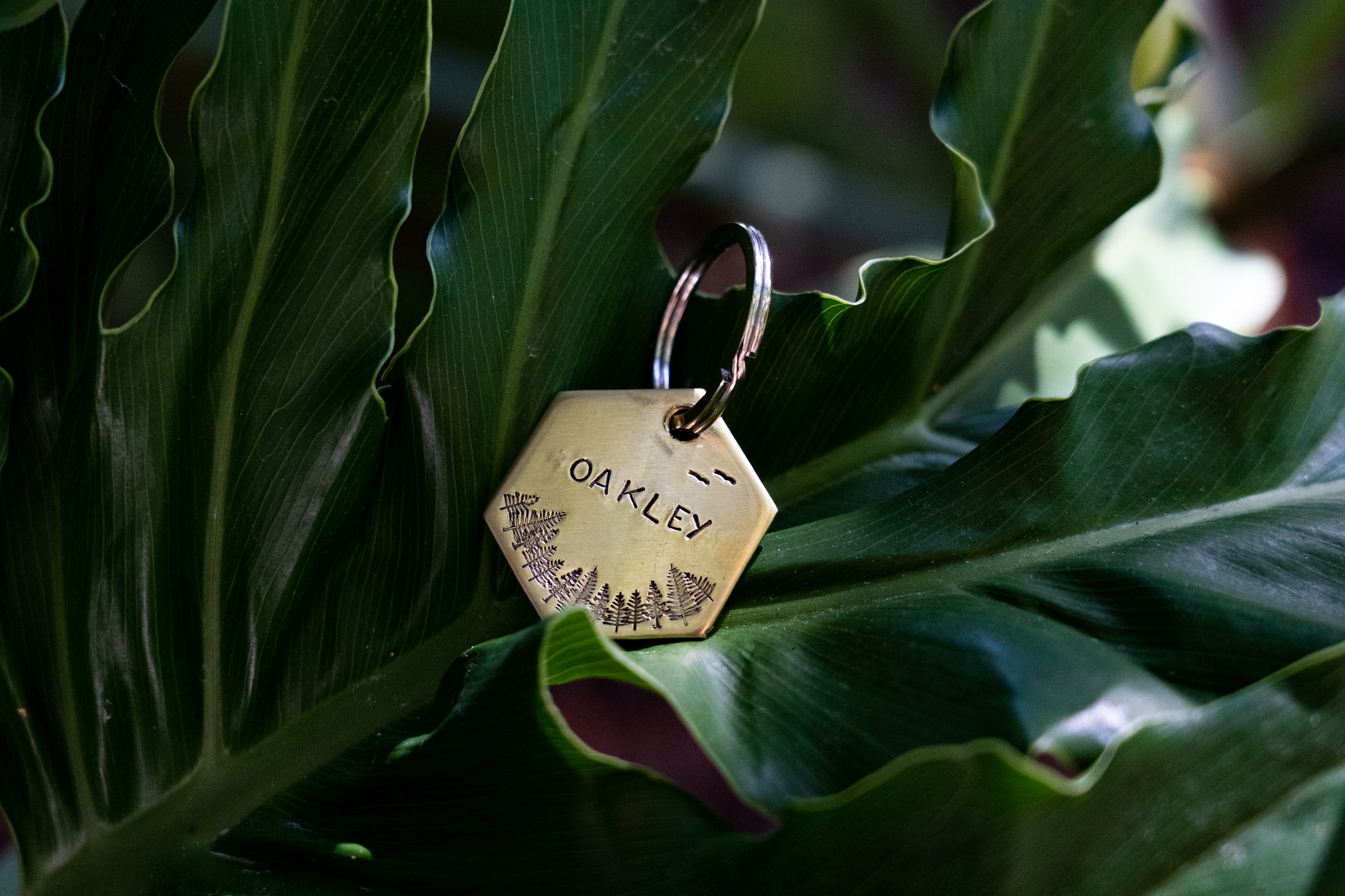 Aerial Tree View Hexagon Tag image 4