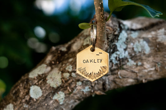 Aerial Tree View Hexagon Tag image 1