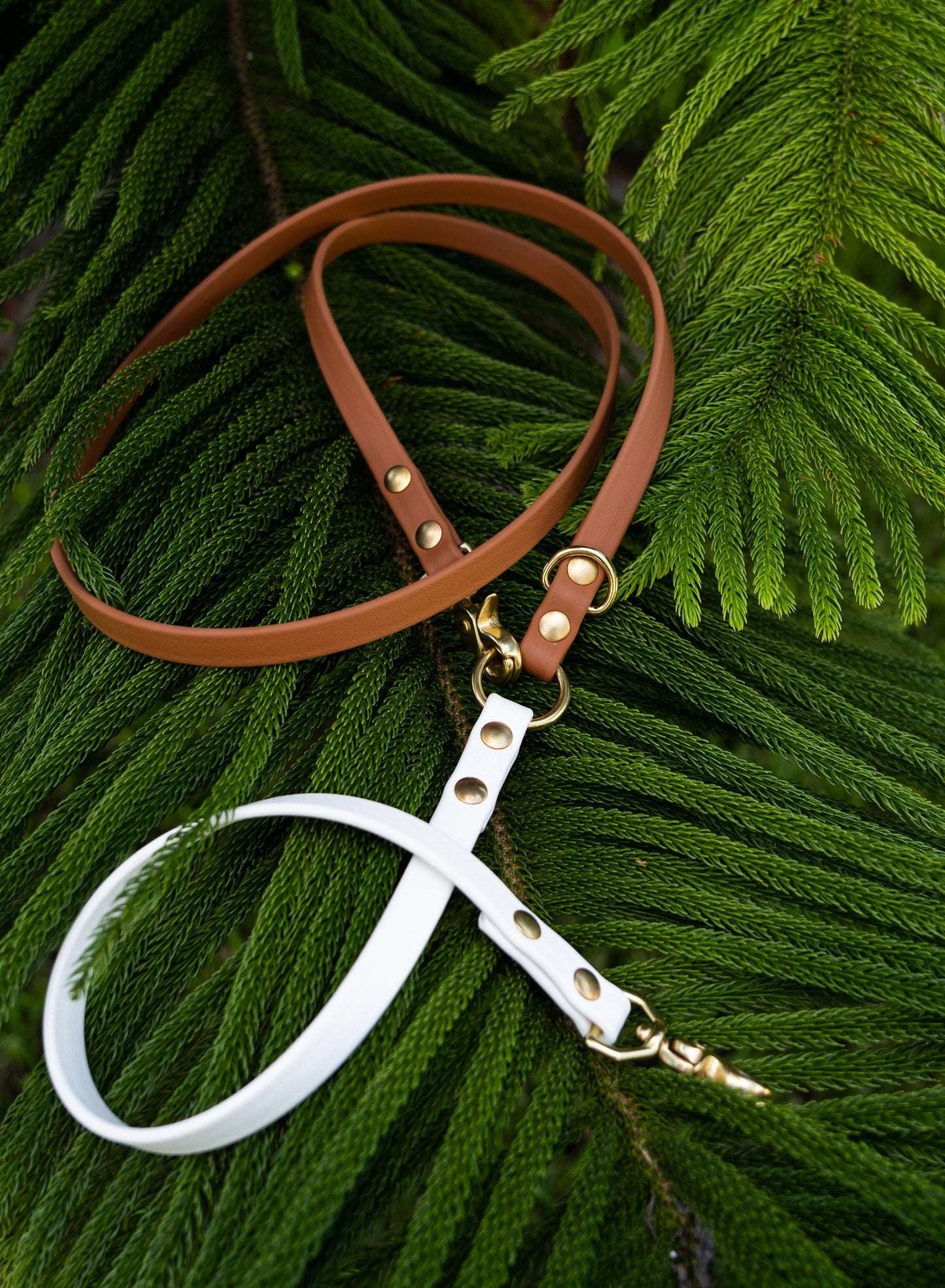 The Explorer Leash - Crossbody and Standard Leash in One