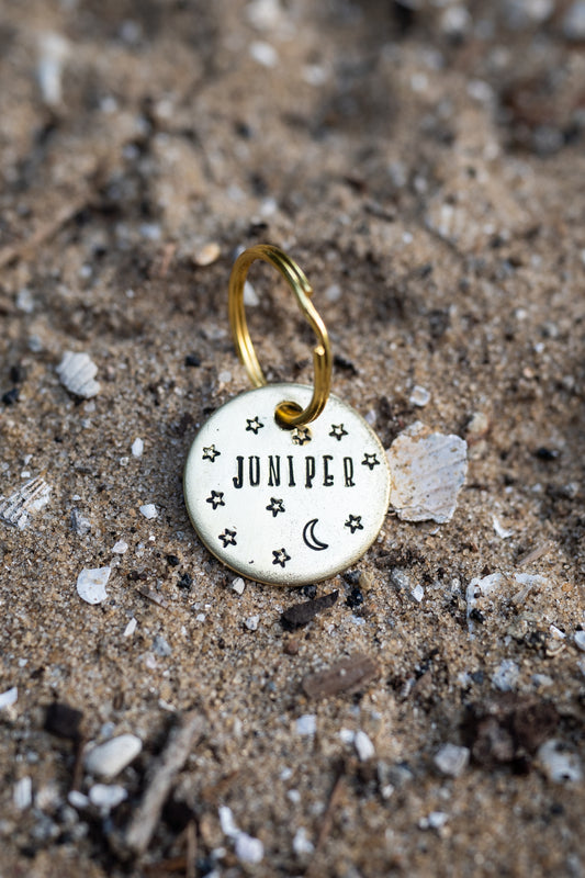 Night Sky Dog Tag image 1