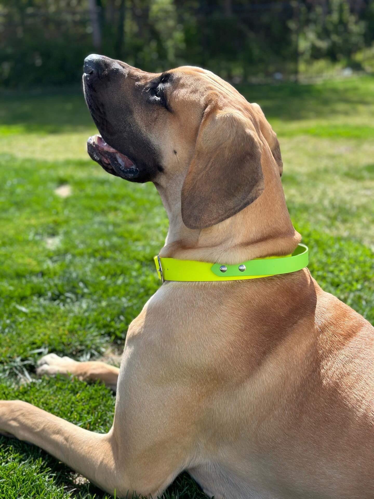 1.5" Wide Dock-Diving Handle Collar