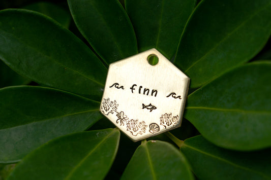 Coral Reef Hexagon Tag image 0