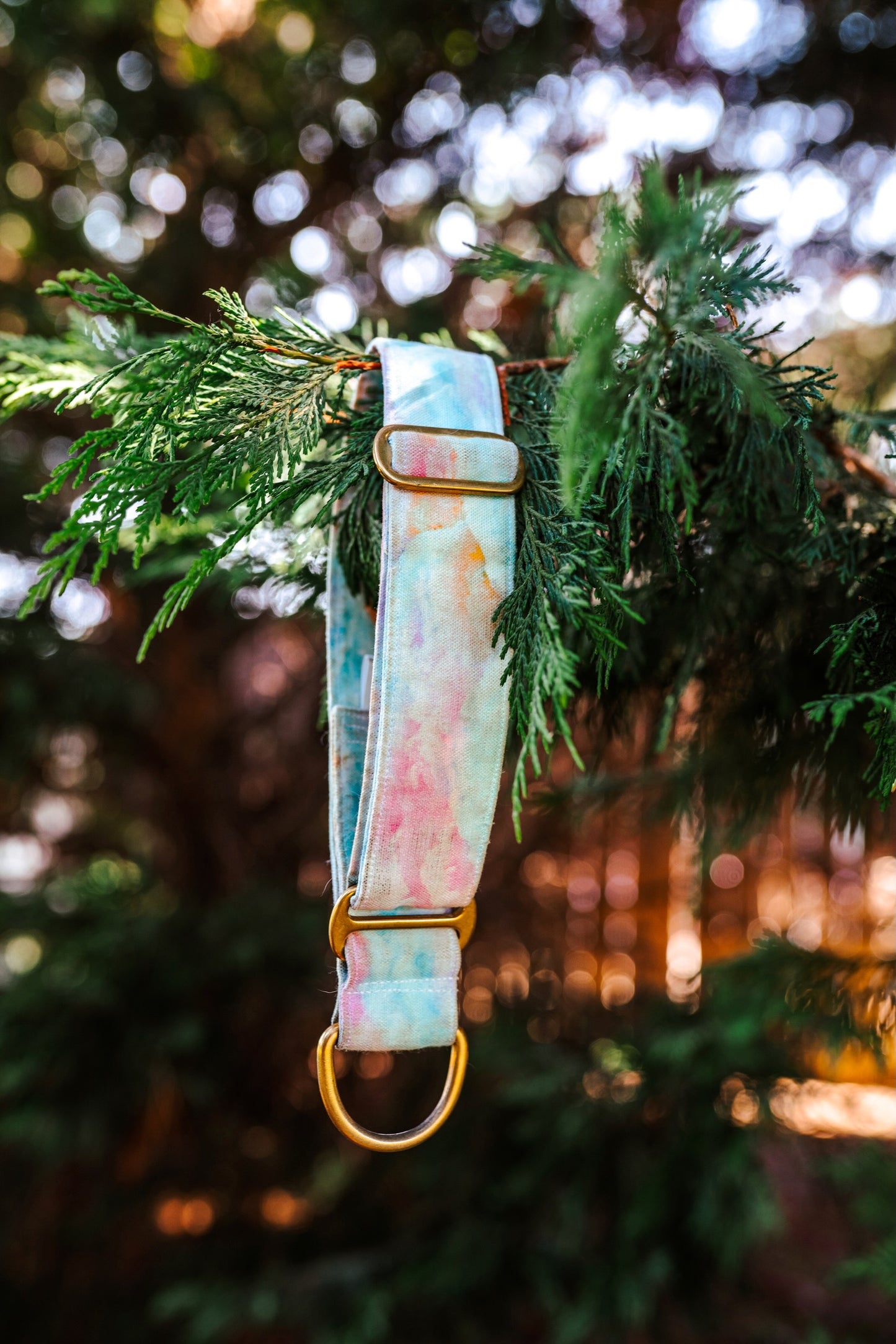 1" Width Eco Canvas Collars