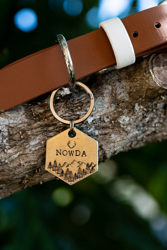 Montecito Hexagon Tag image 1