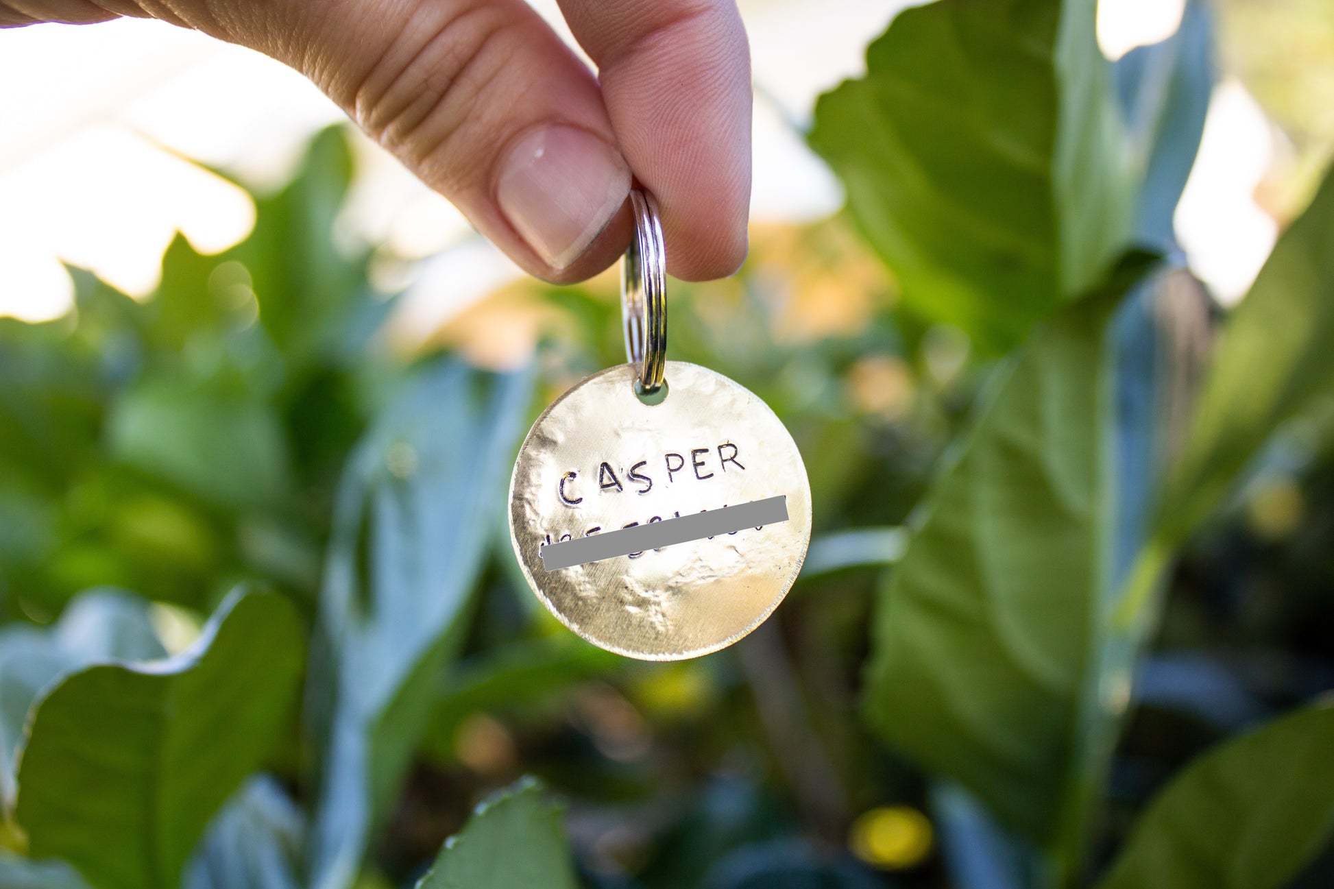 Adventure is Out There Dog Tag image 1