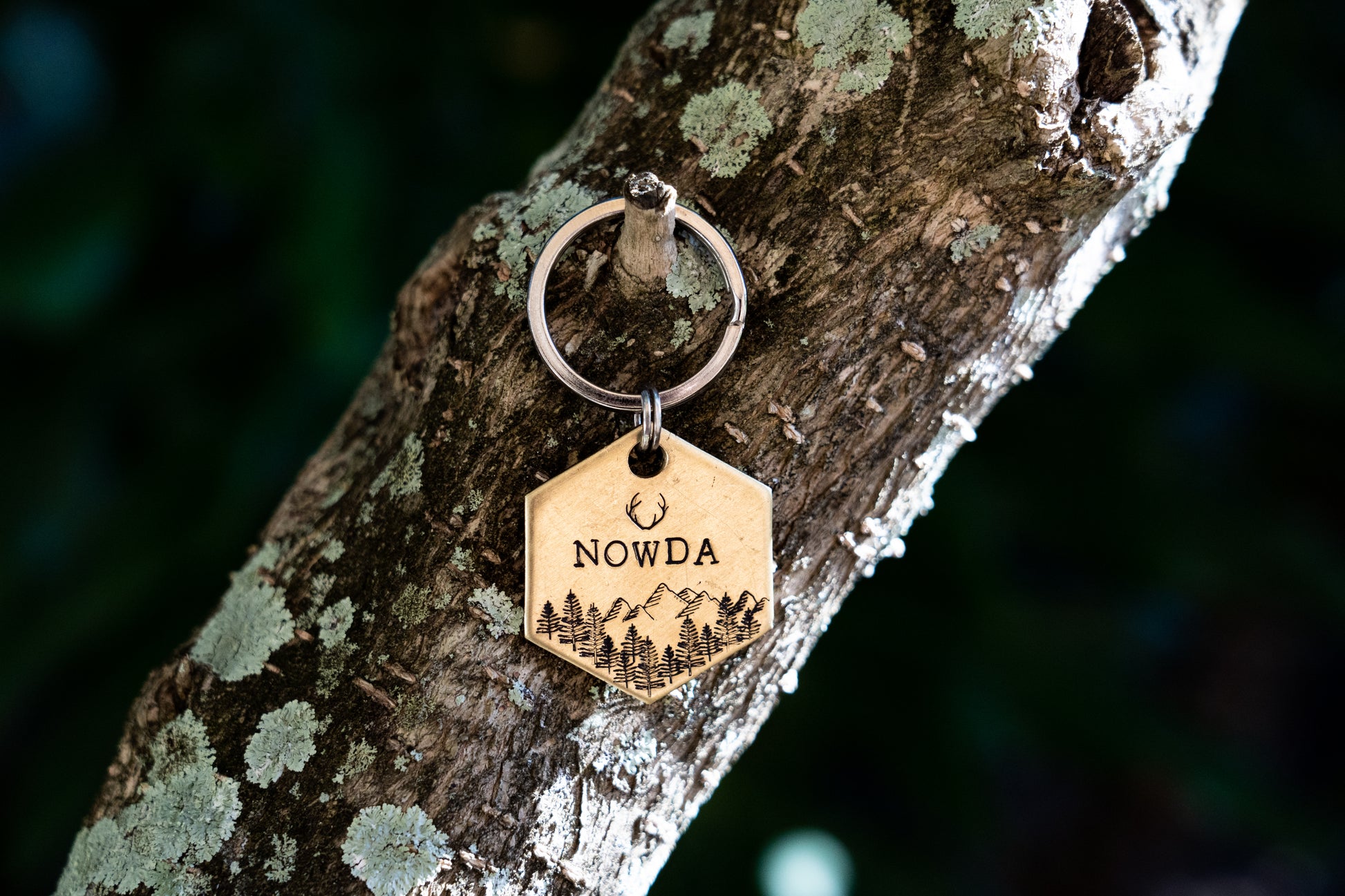 Montecito Hexagon Tag image 6