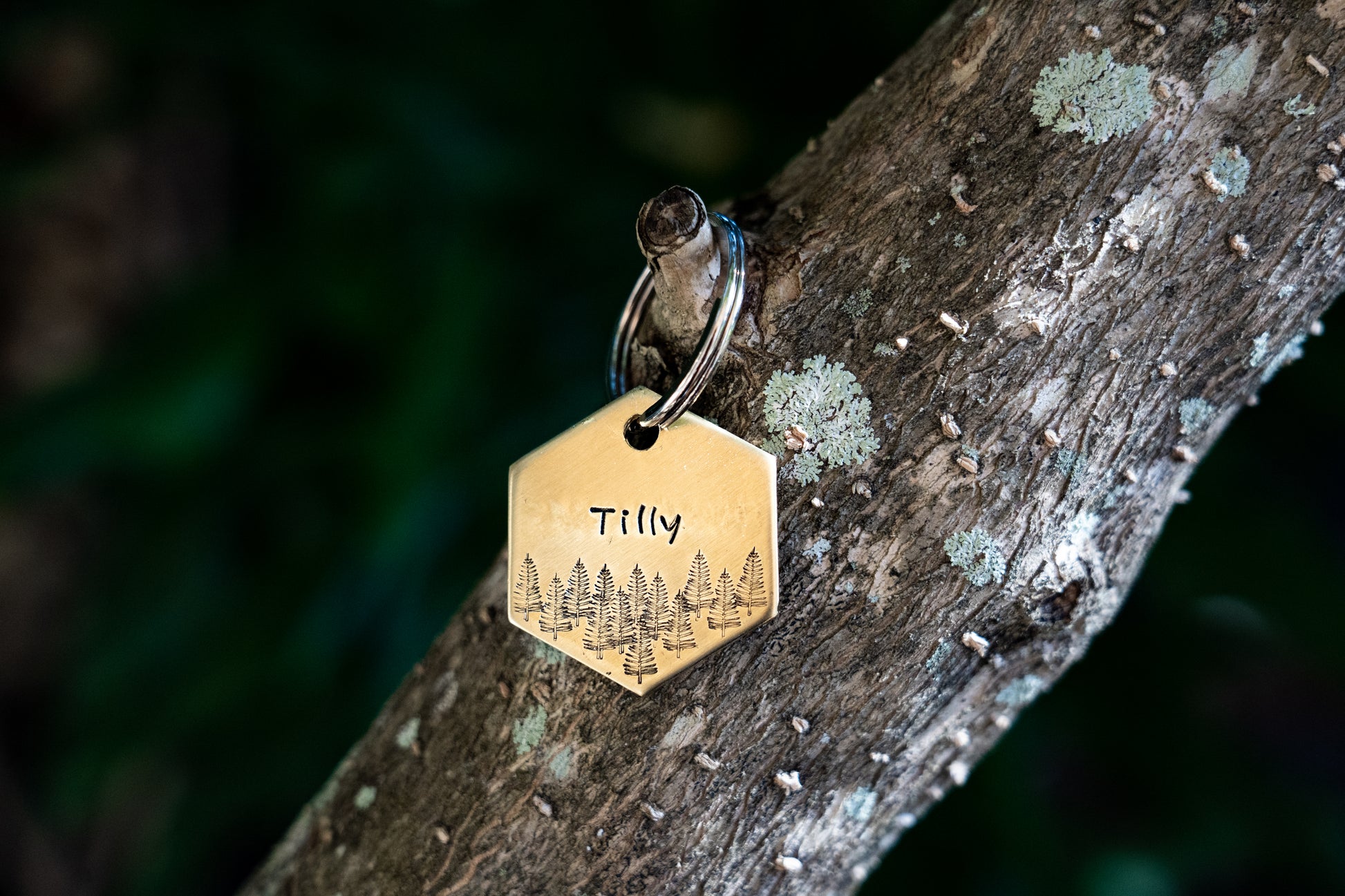 Forest Hexagon Tag image 1