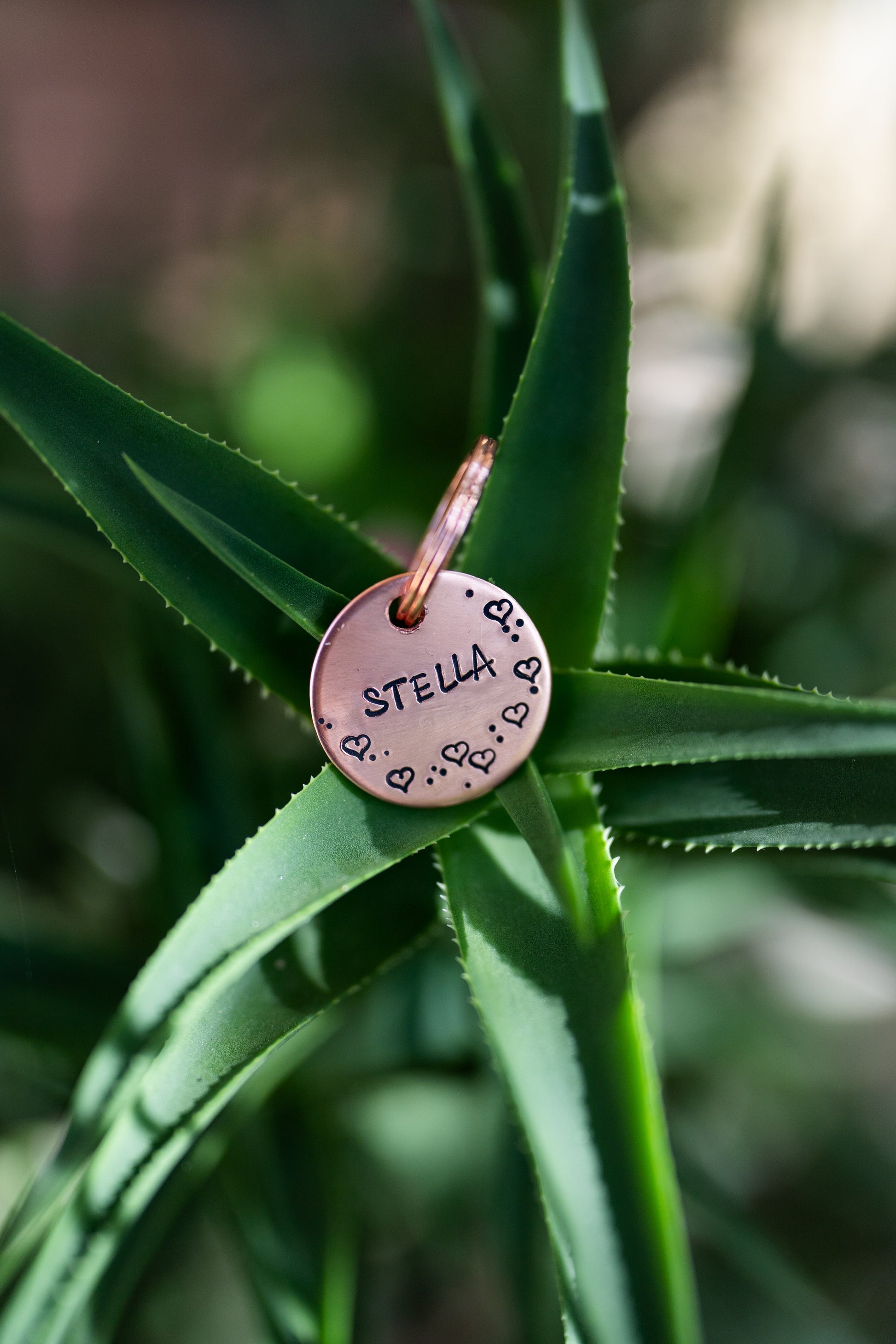 Hearts Dog Tag image 0