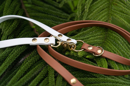 The Explorer Leash - Crossbody and Standard Leash in One