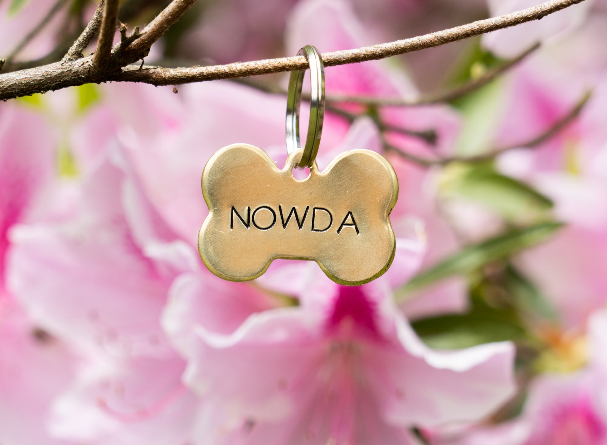 Simple Bone Dog Tag image 0