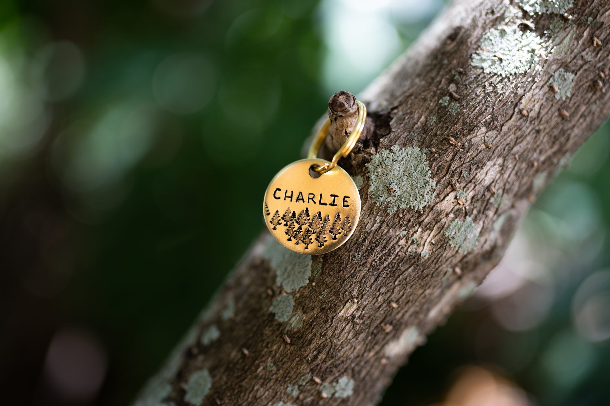 Forest Dog Tag image 0