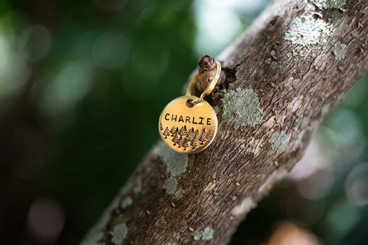 Forest Dog Tag image 0