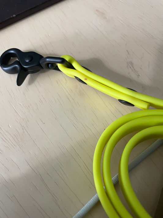4' Lemon Leash