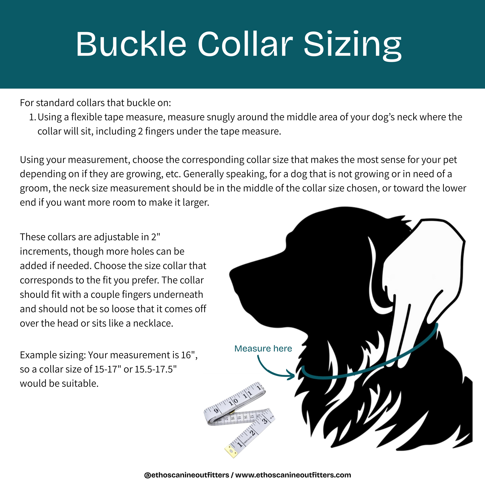 Buckle collar sizing guide with text and a silhouette of a dog. Ethos Canine Outfitters collar sizing guide
