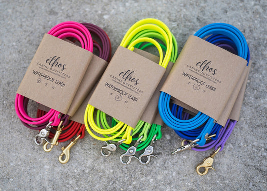 Waterproof Custom BioThane Leash