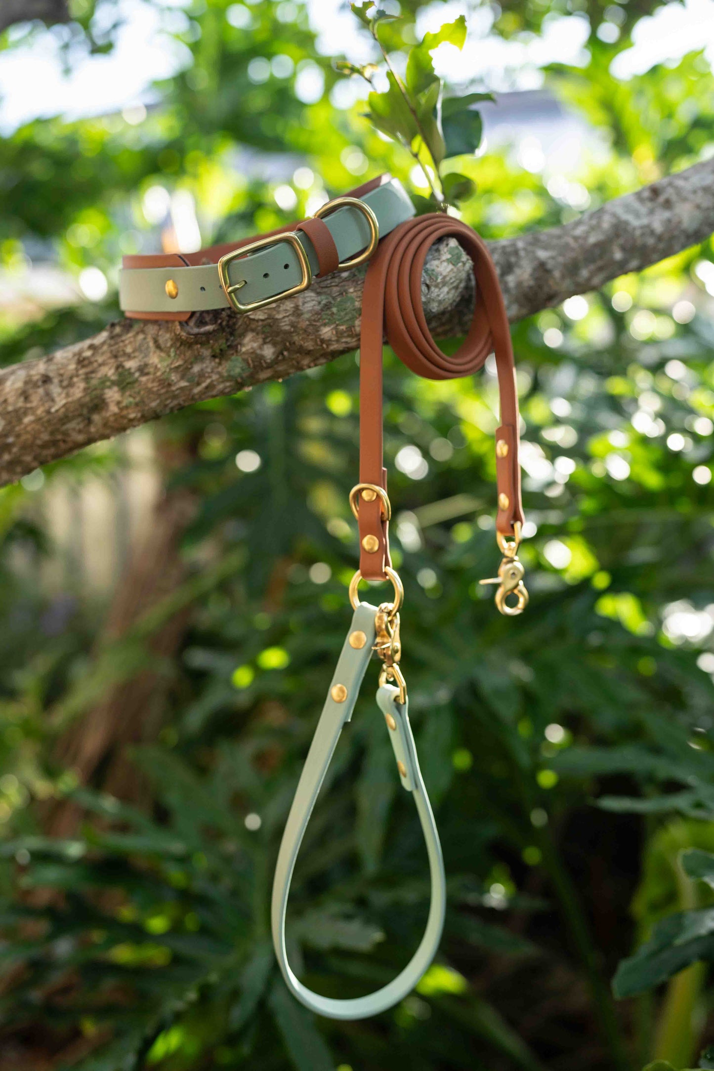 The Explorer Leash - Crossbody and Standard Leash in One