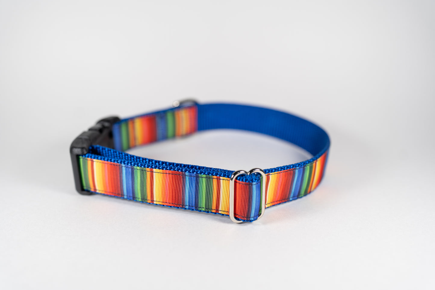 Fiesta Adjustable Webbing Dog Collar