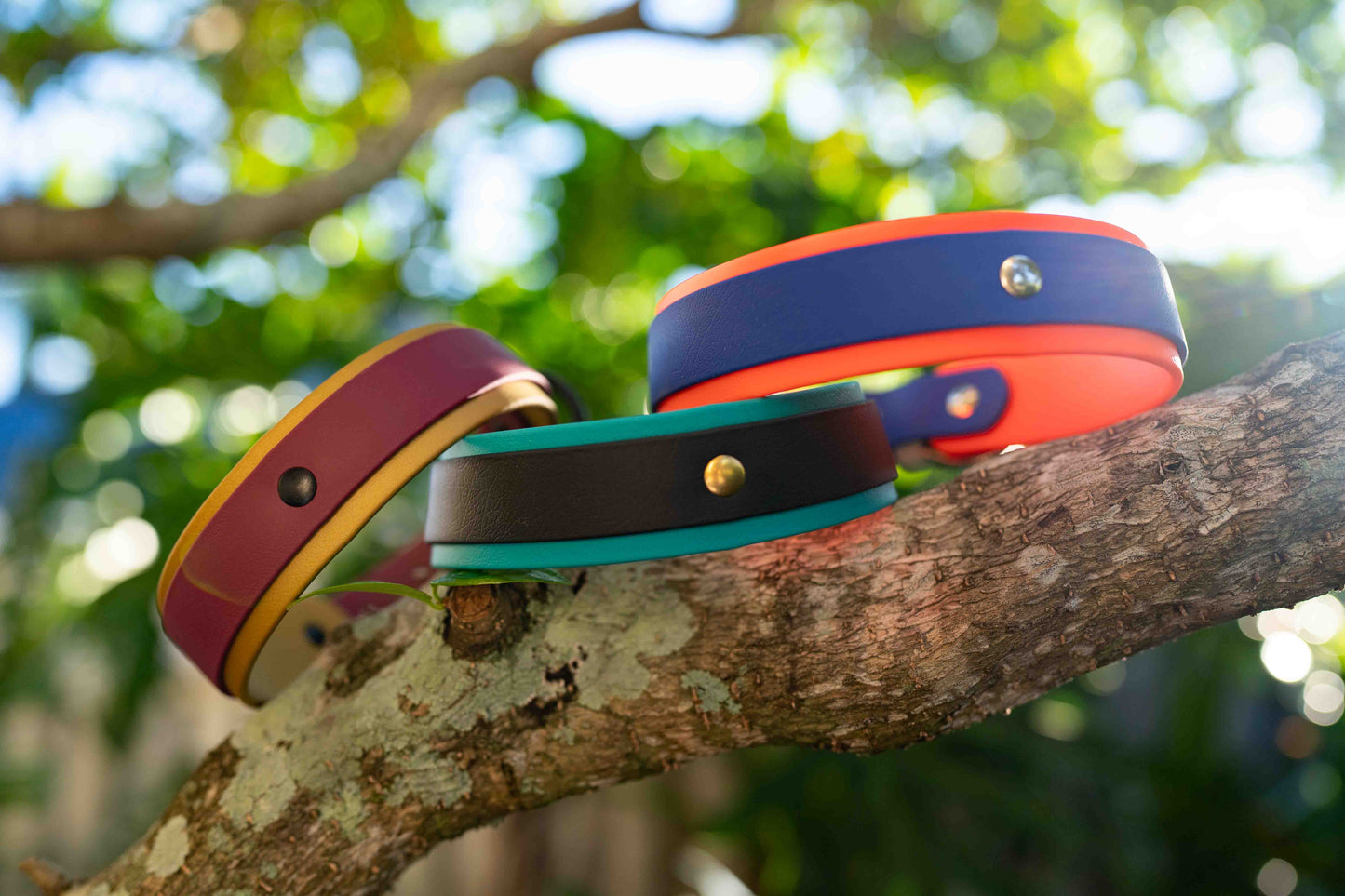 1.5" Layered Collar