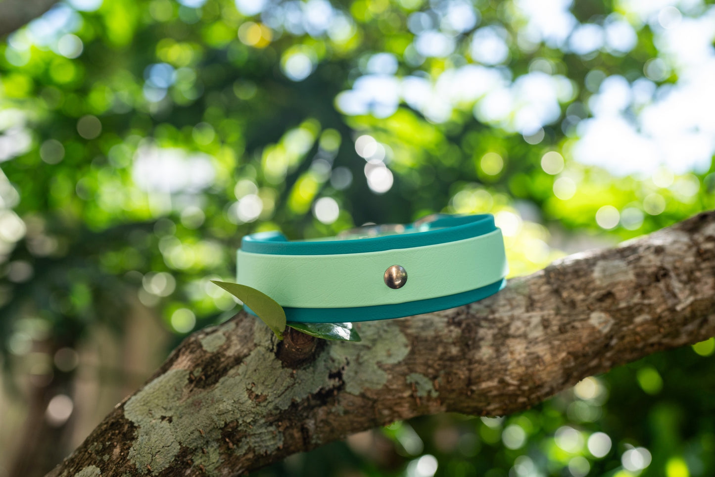 1.5" Layered Collar