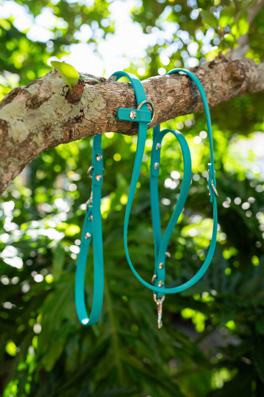 Ultimate Hands-Free Convertible Leash