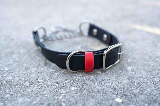 Adjustable Buckle Martingale BioThane Collar