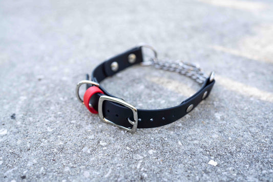 Adjustable Buckle Martingale BioThane Collar