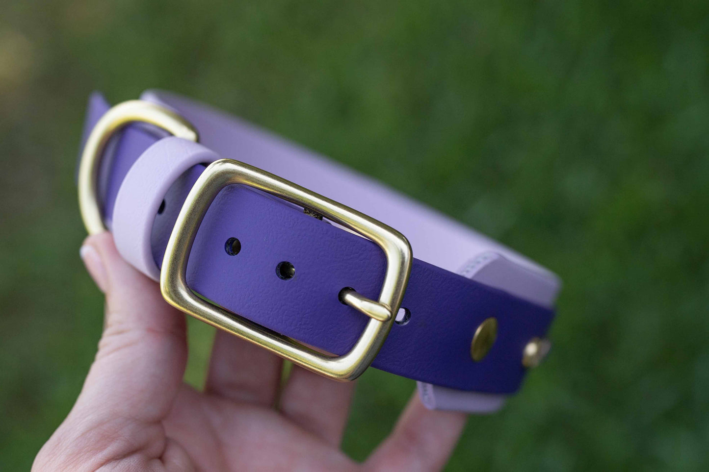 1.5" Layered Collar