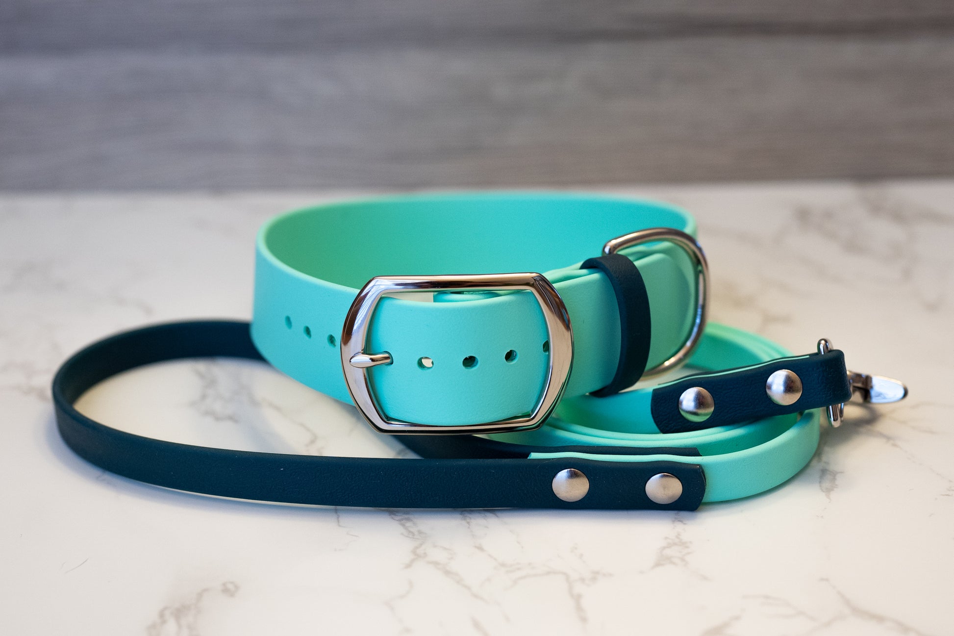 Mint and green dog collar and leash set with silver hardware