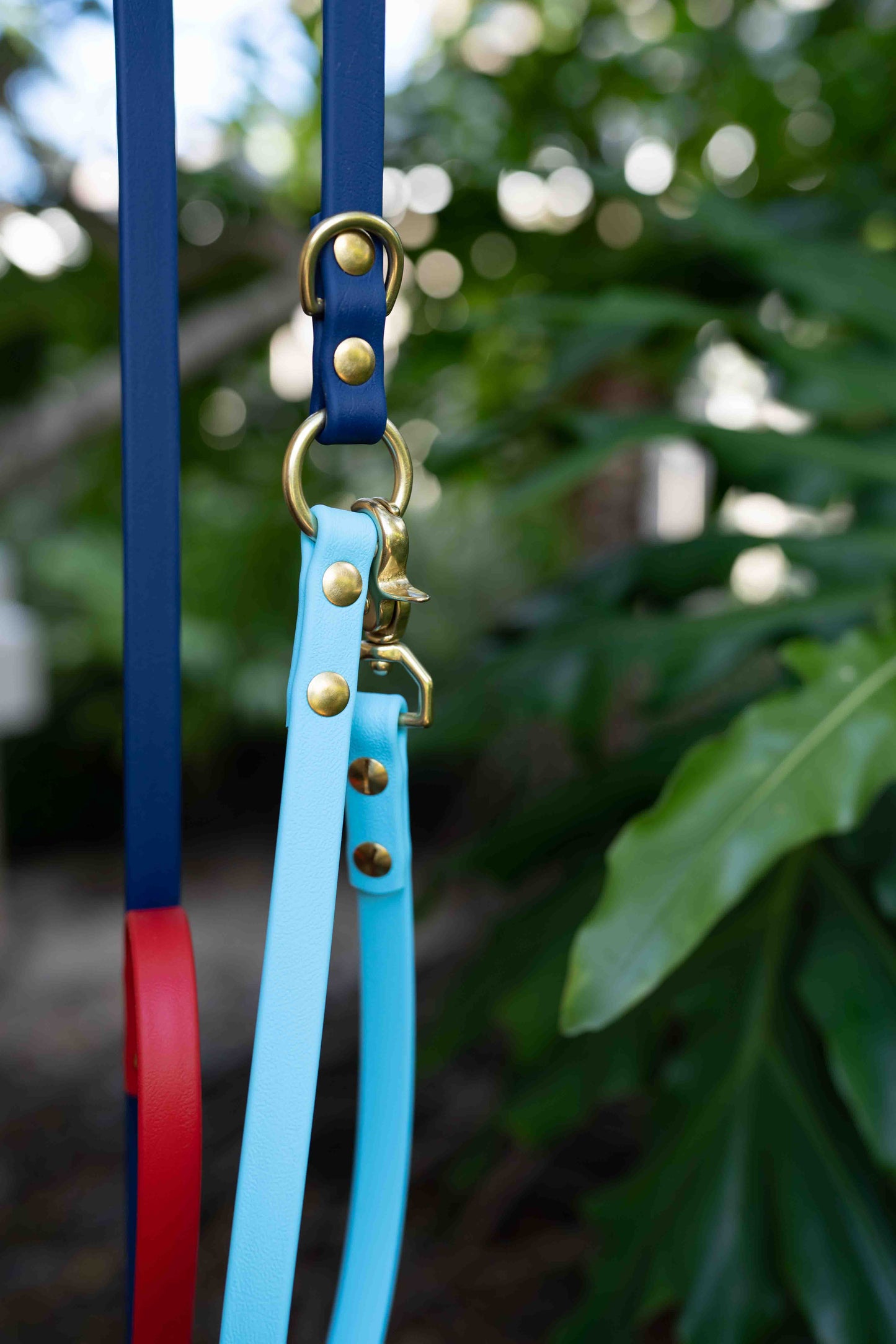 The Explorer Leash - Crossbody and Standard Leash in One