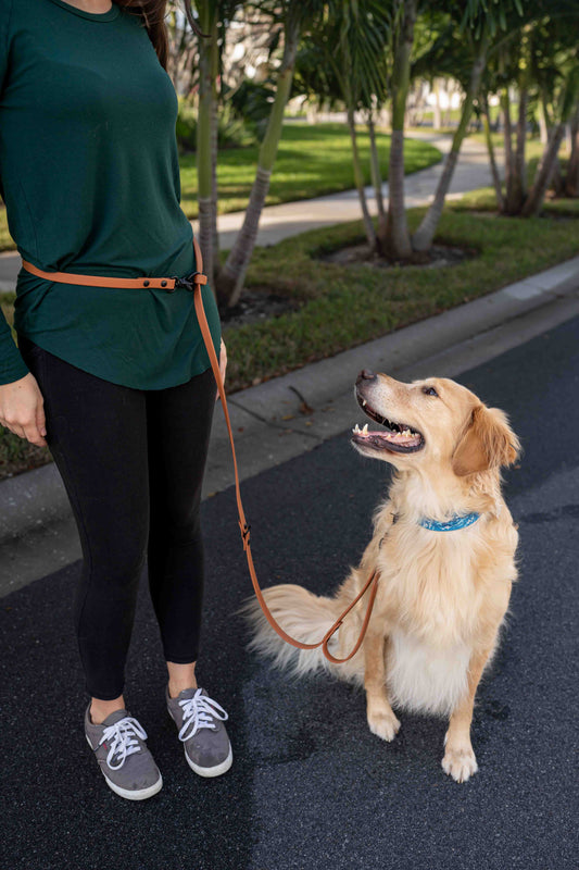 Ultimate Hands-Free Convertible Leash