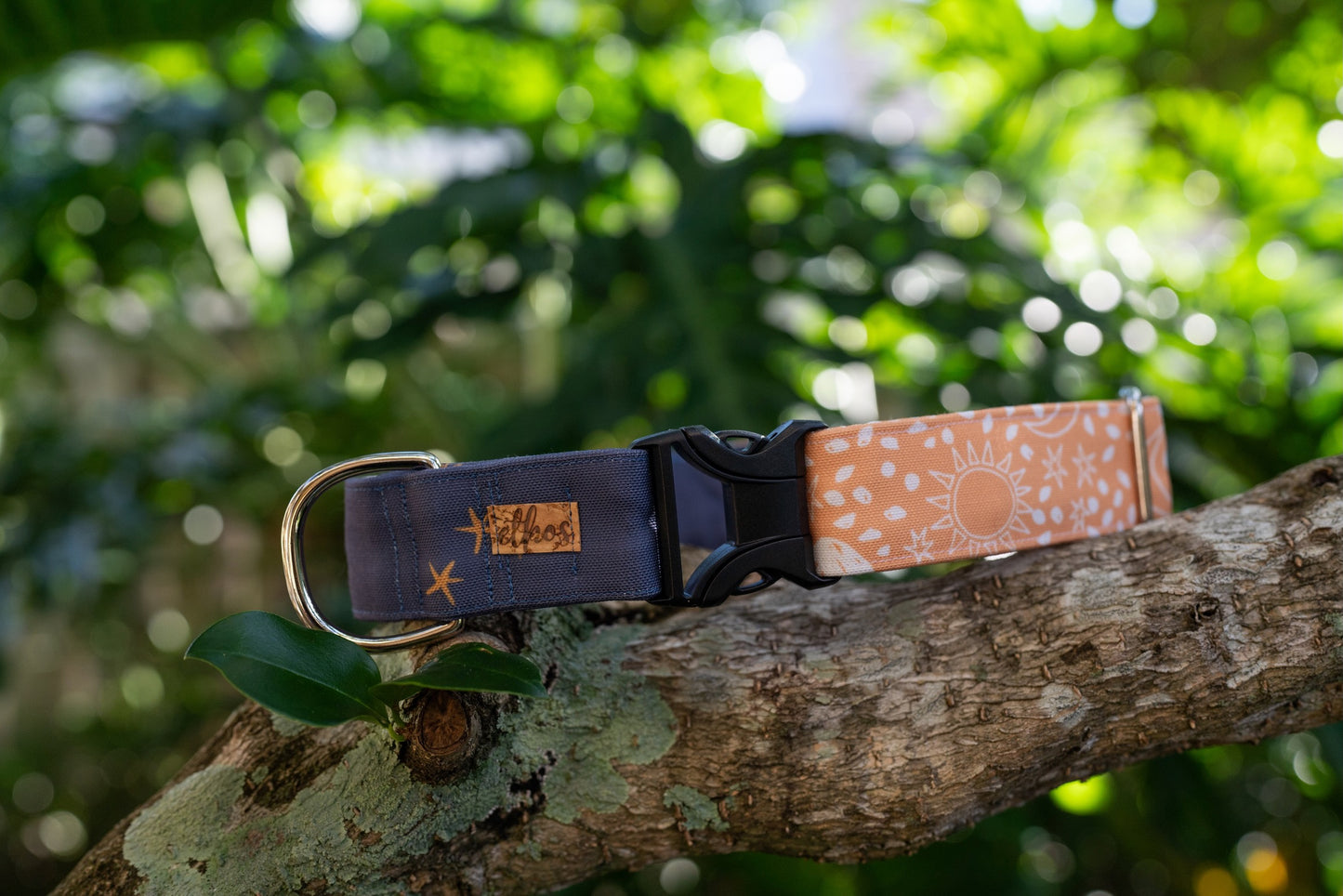 1" Width Eco Canvas Collars