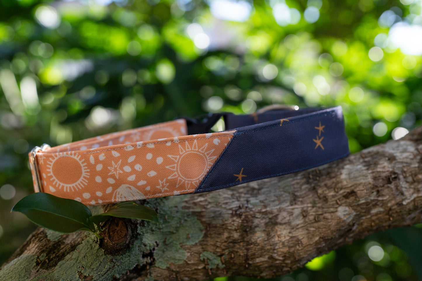 1" Width Eco Canvas Collars