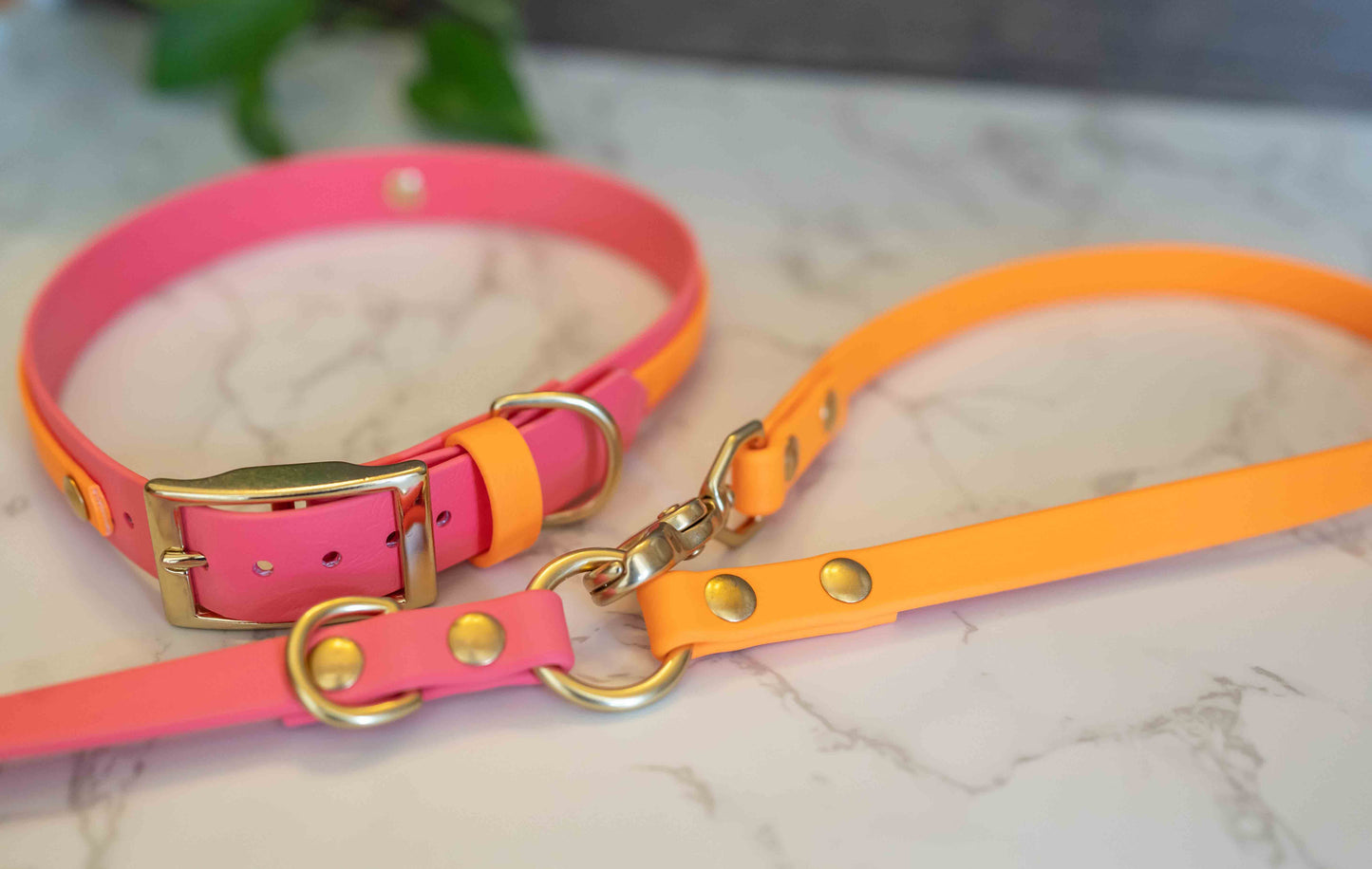 The Explorer Leash - Crossbody and Standard Leash in One