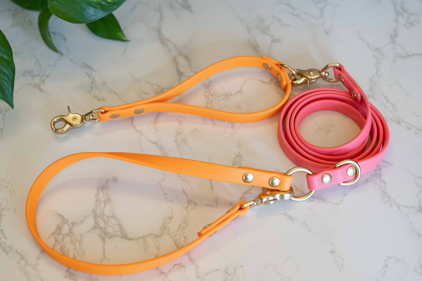 The Explorer Leash - Crossbody and Standard Leash in One