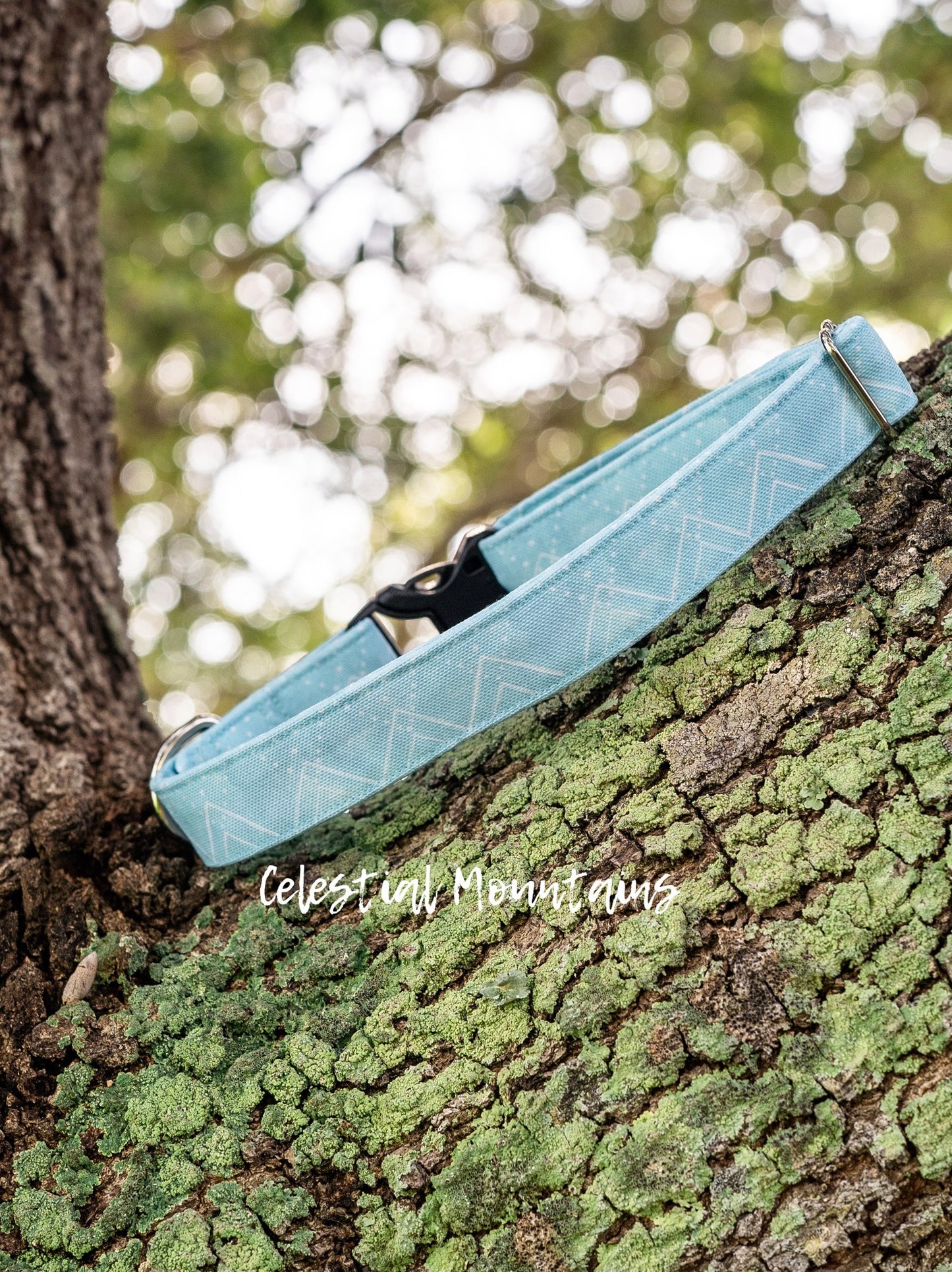 1" Width Eco Canvas Collars