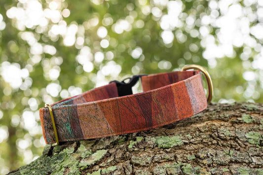 Sedona Eco Canvas Custom Dog Collar