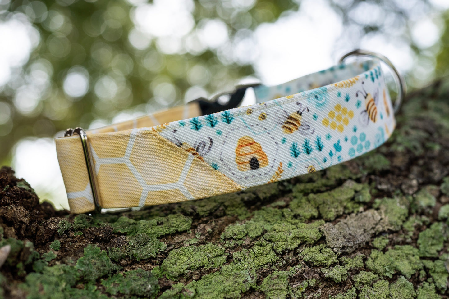 1.5" Width Eco Canvas Collars