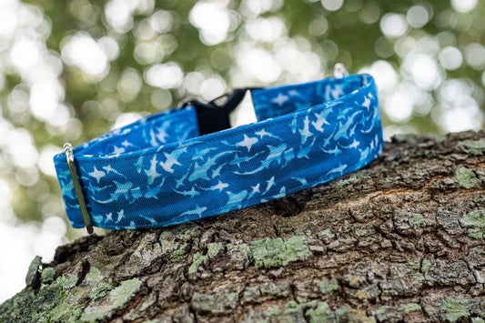 1.5" Width Eco Canvas Collars