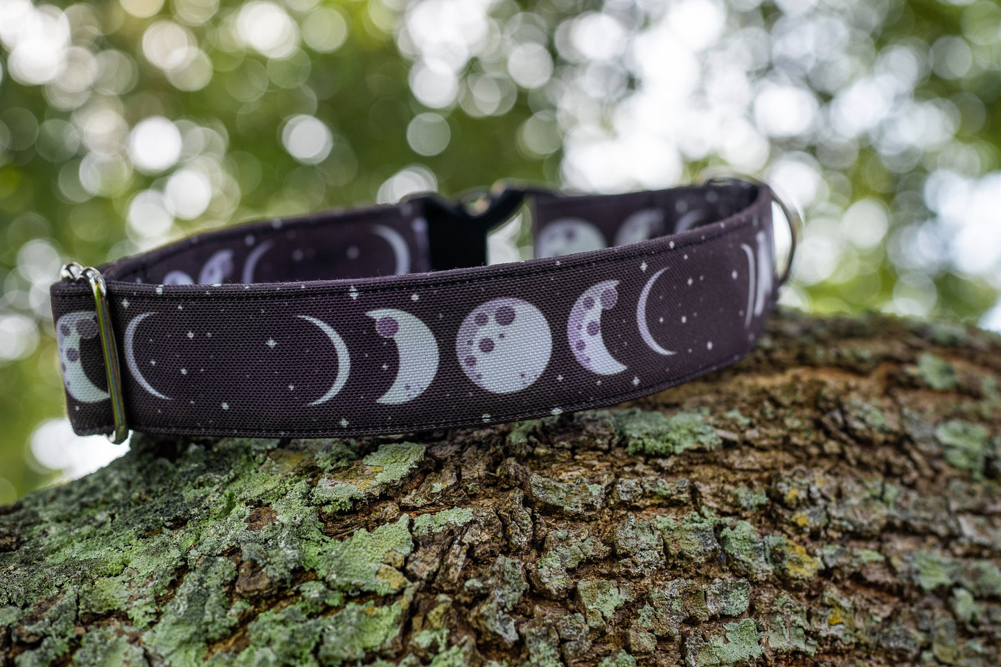 1" Width Eco Canvas Collars