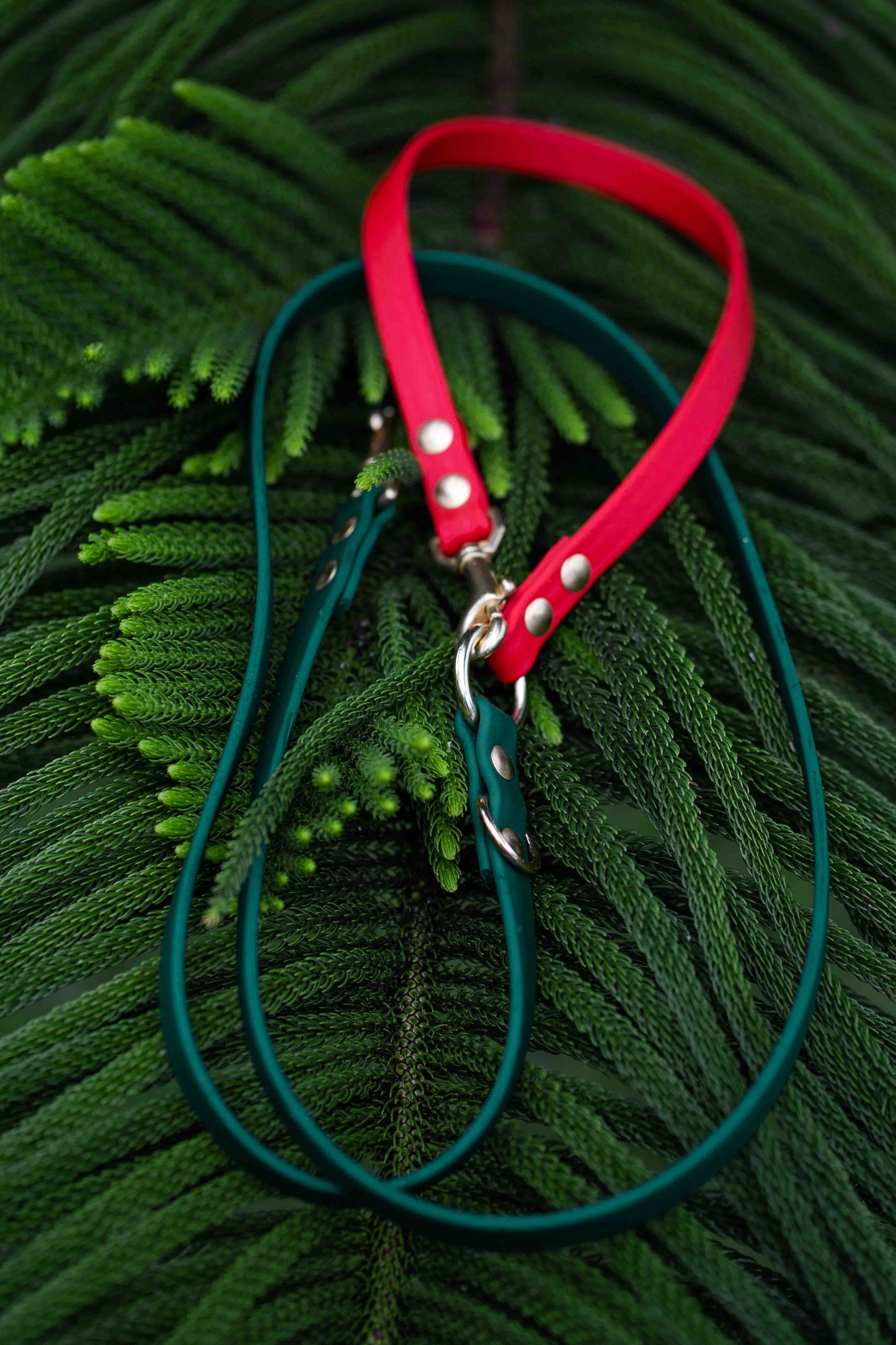 The Explorer Leash - Crossbody and Standard Leash in One