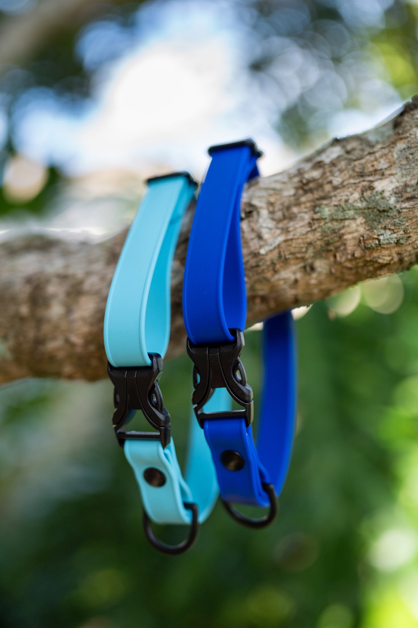 Flex Series Adjustable Quick Release Buckle Collars