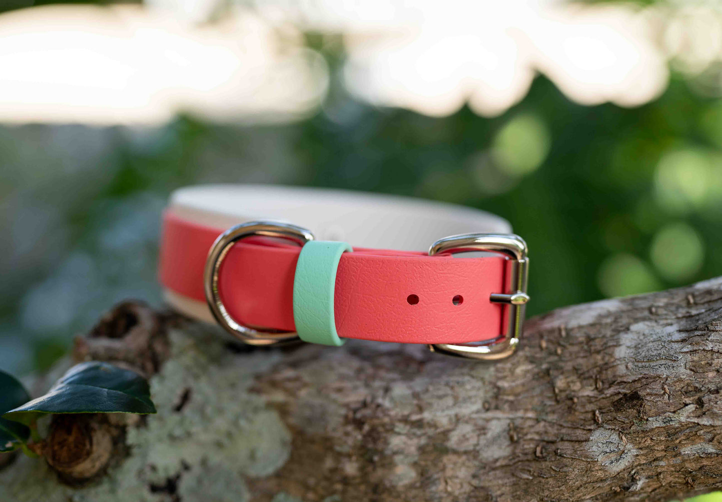 1.5" Layered Collar