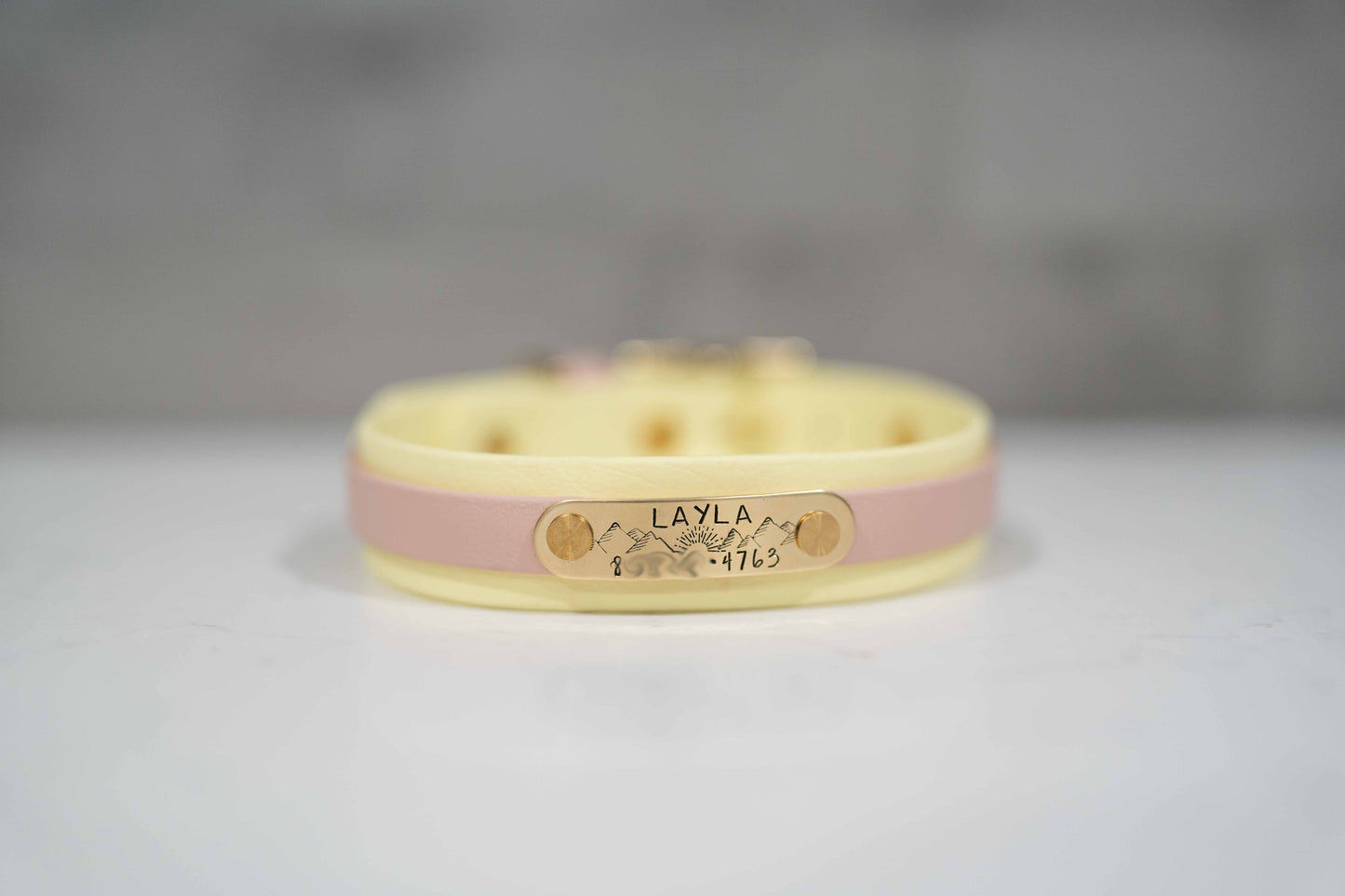 Collar with Accent Stripe