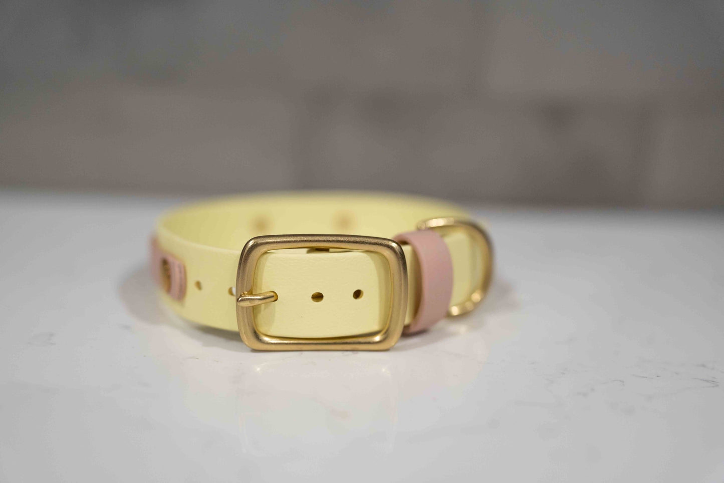 Collar with Accent Stripe