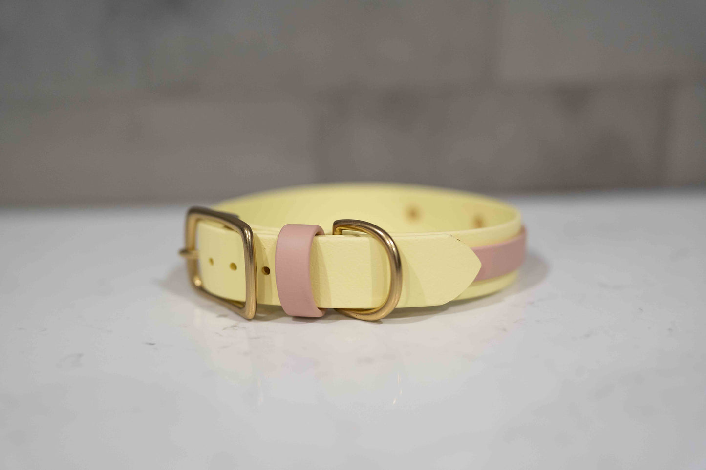 Collar with Accent Stripe