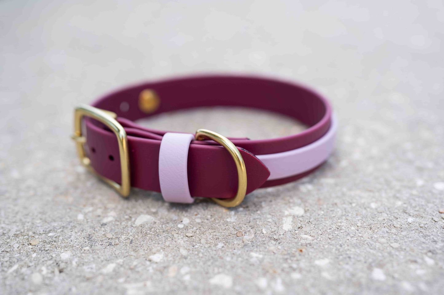 Collar with Accent Stripe