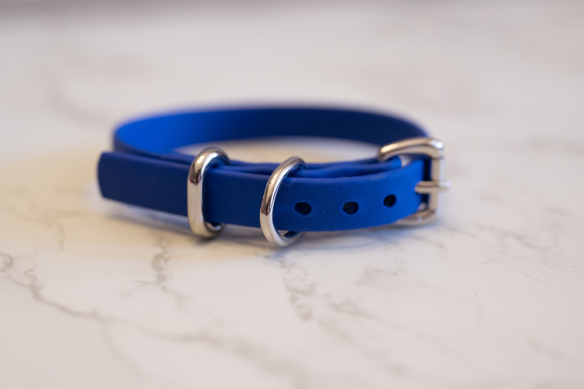 tiny blue dog collar with silver hardware on a marble surface. Ideal for small dogs