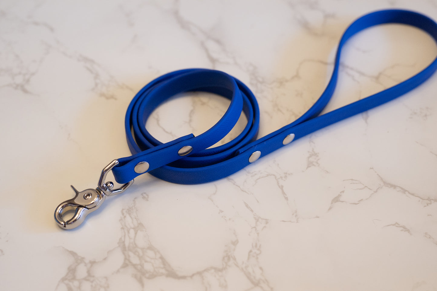 Waterproof Custom BioThane Leash