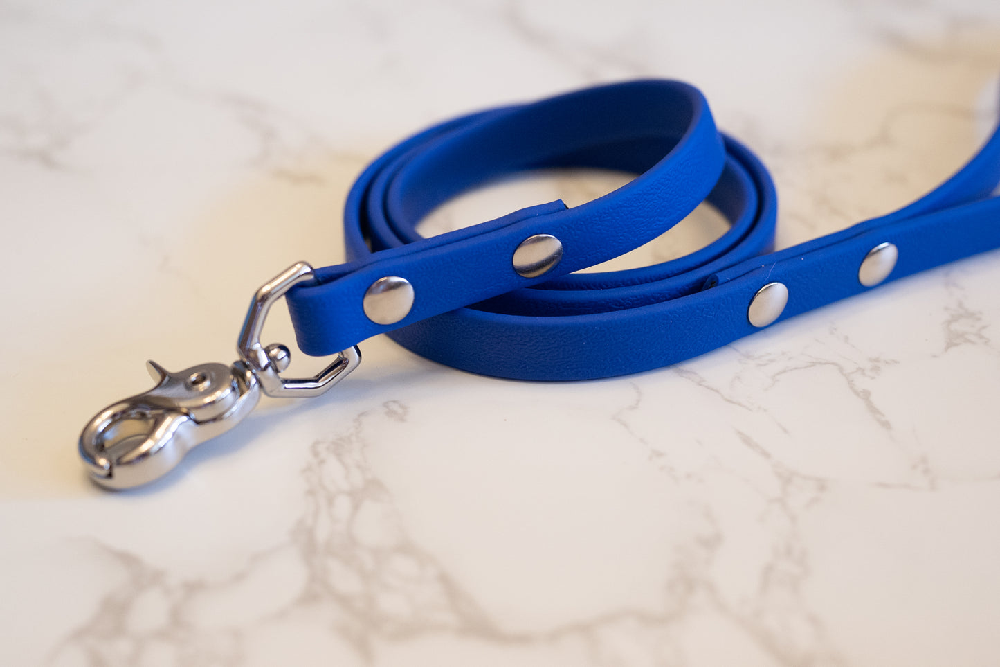 Waterproof Custom BioThane Leash