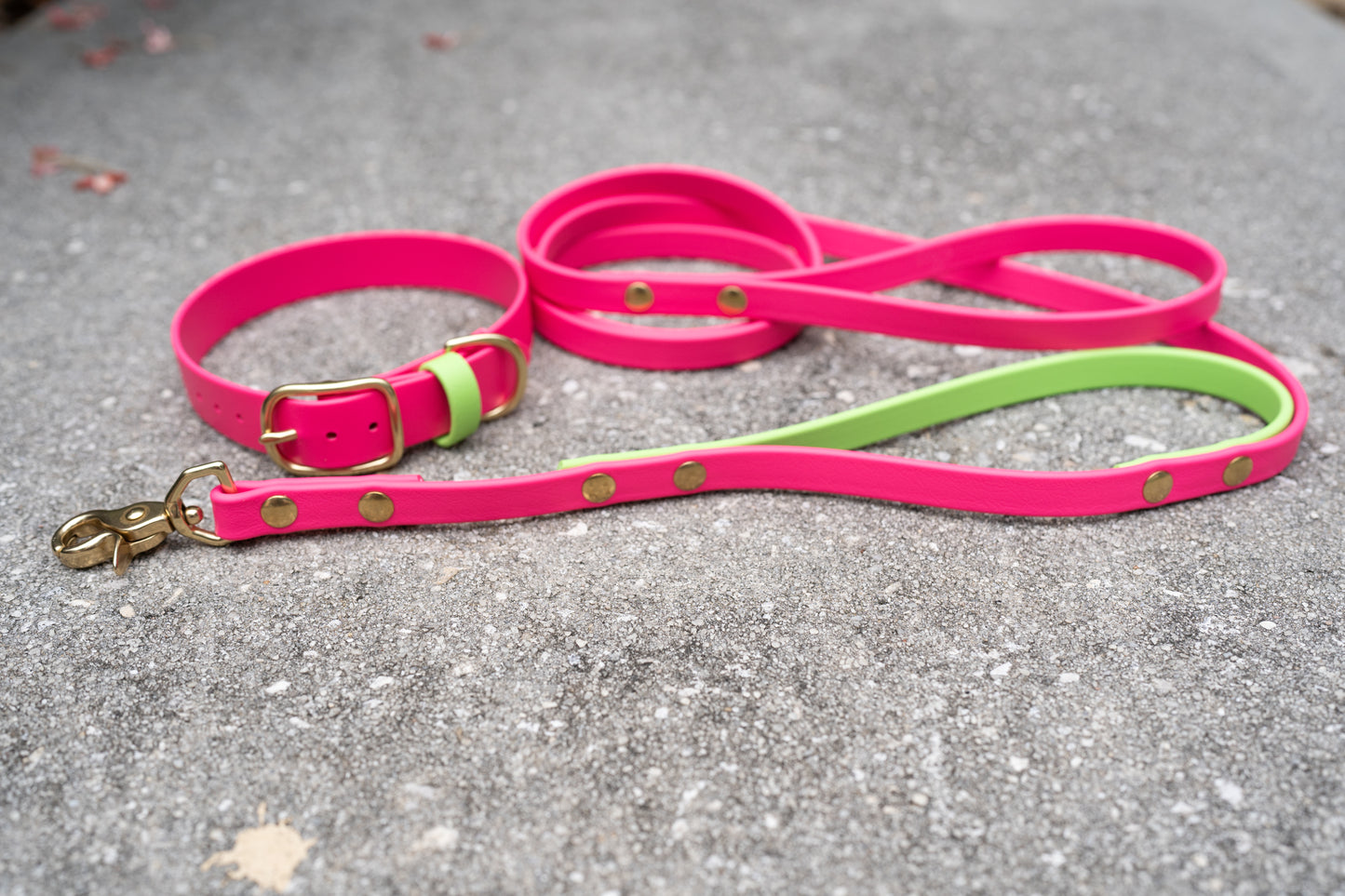 Waterproof Custom BioThane Leash